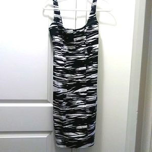 Calvin Klein Black & White Zebra Striped Dress